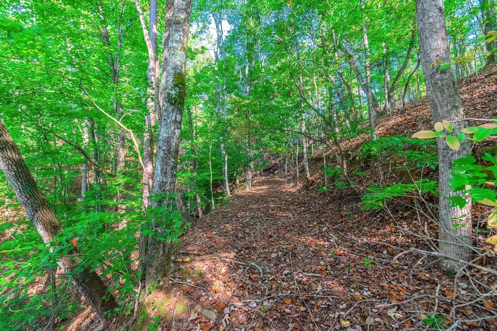 Lot 50 Jakes Landing Way, Ellijay GA 30540 - Photo
