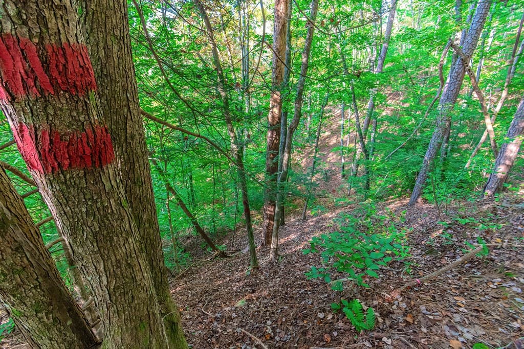 Lot 50 Jakes Landing Way, Ellijay GA 30540 - Photo