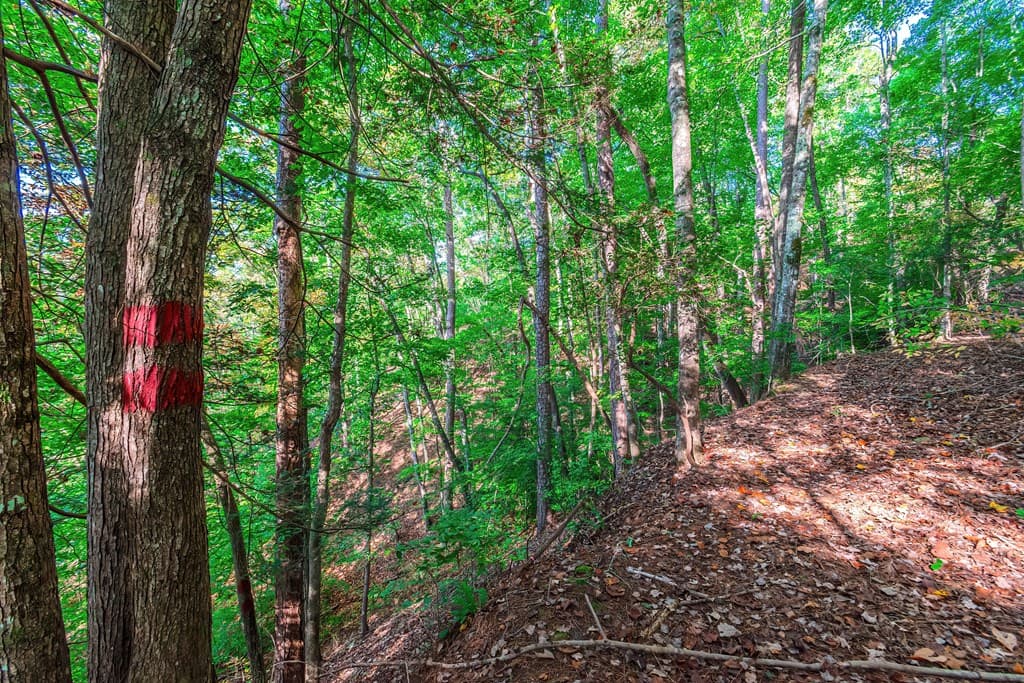Lot 50 Jakes Landing Way, Ellijay GA 30540 - Photo