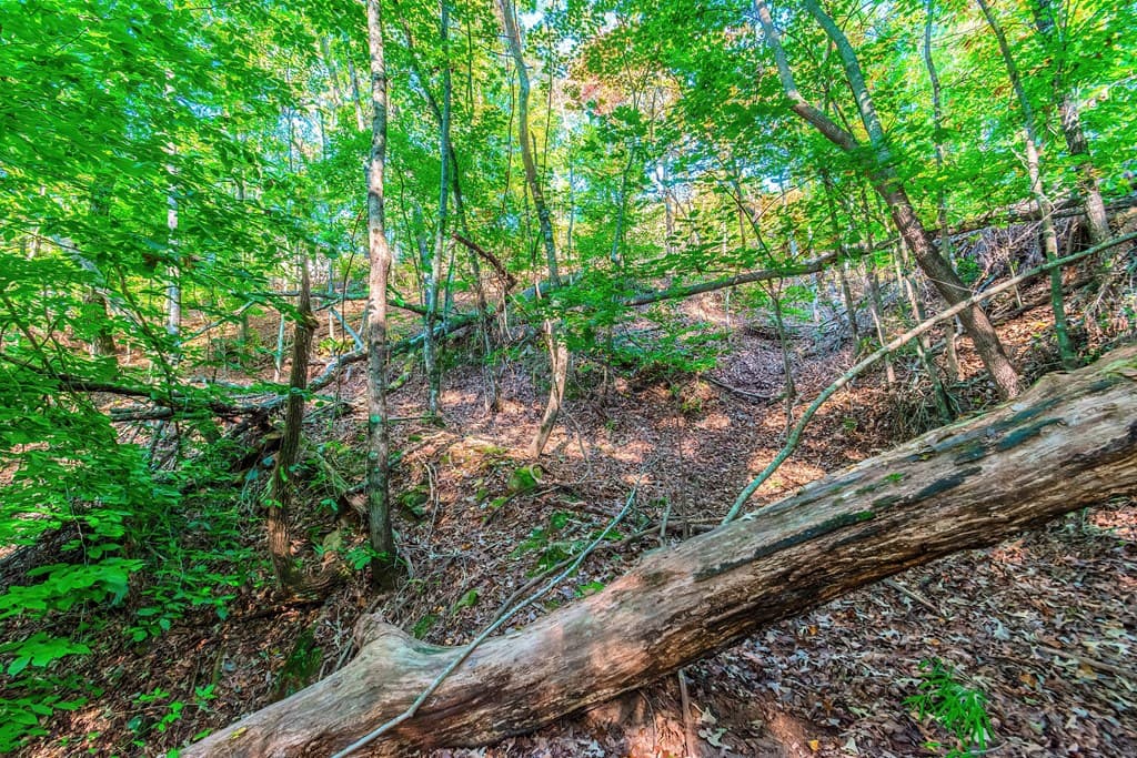 Lot 50 Jakes Landing Way, Ellijay GA 30540 - Photo