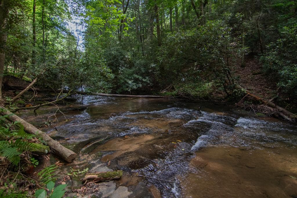 1990 Big Creek, Blue Ridge GA 30513 - Photo