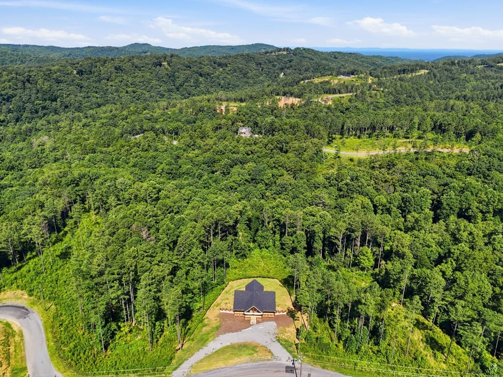 2956 Blalock Mountain Road, Talking Rock GA 30175 - Photo