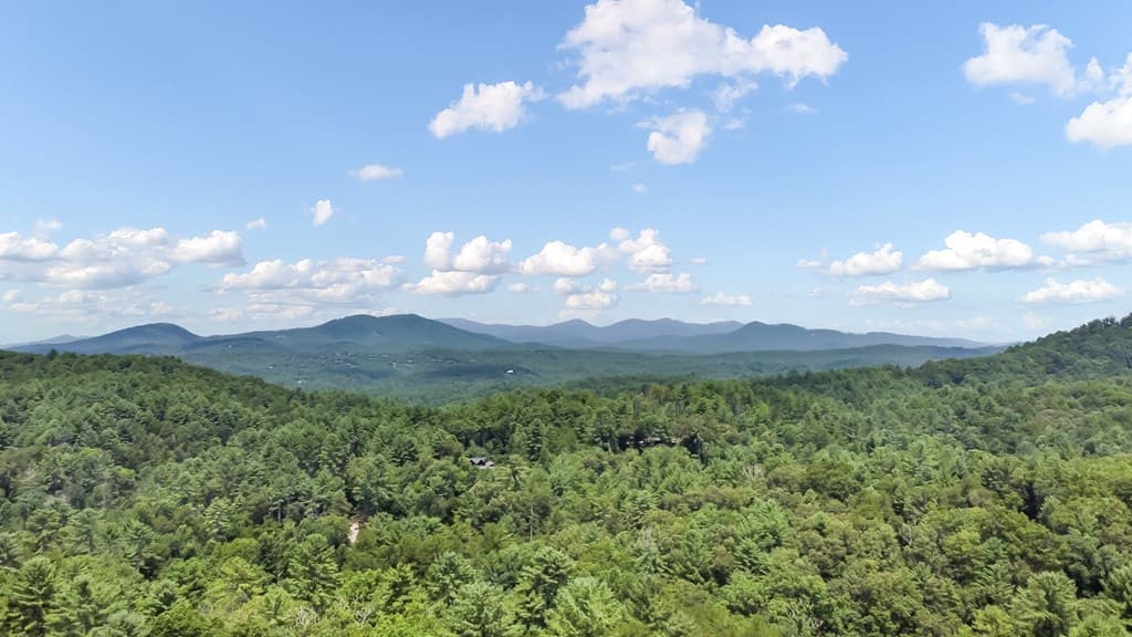 236 Hooch Holler Lane, Morganton GA 30560 - Photo