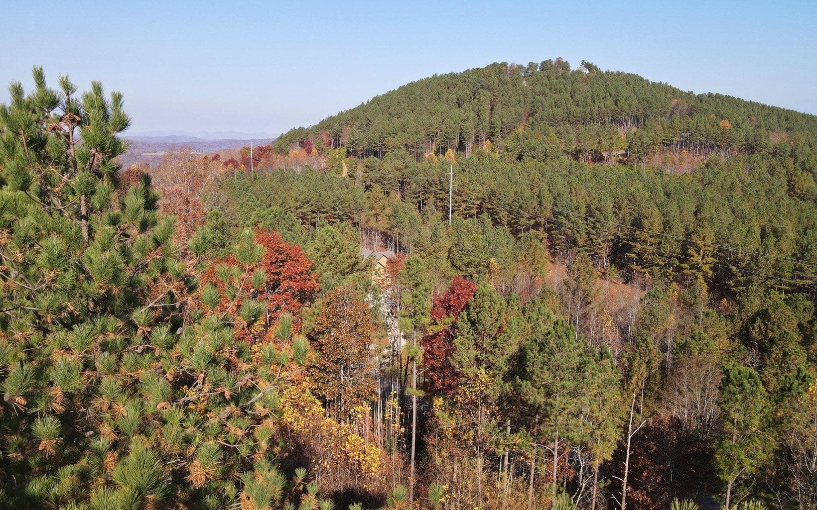 60 Thirteen Hundred, Blairsville GA 30512 - Photo