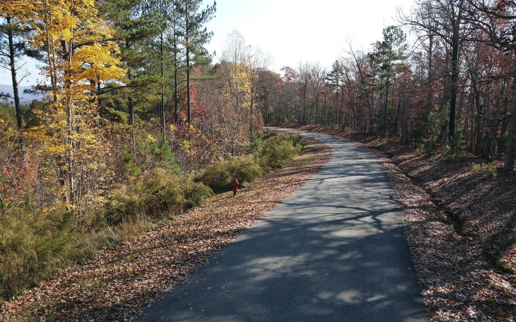60 Thirteen Hundred, Blairsville GA 30512 - Photo