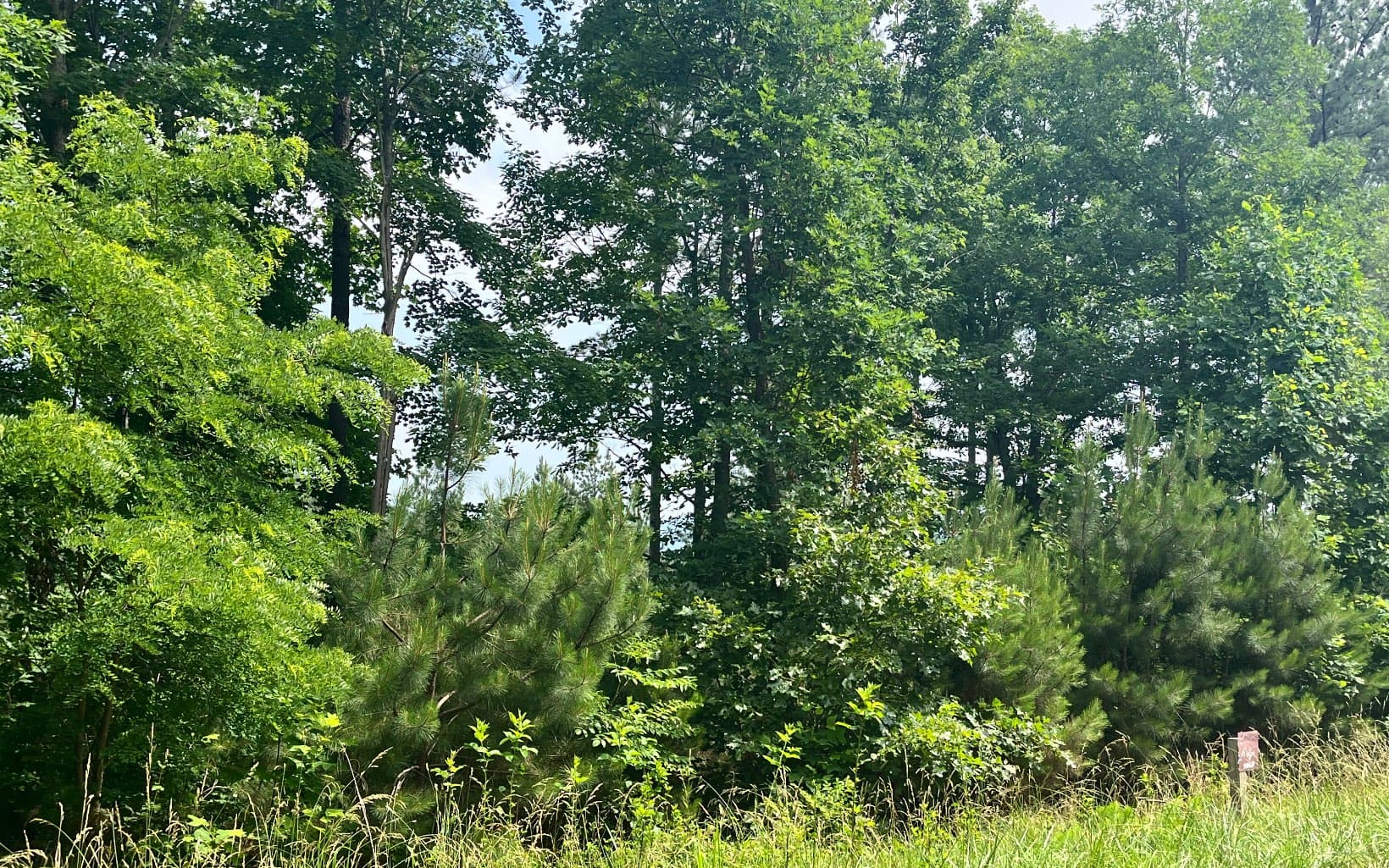 60 Thirteen Hundred, Blairsville GA 30512 - Photo