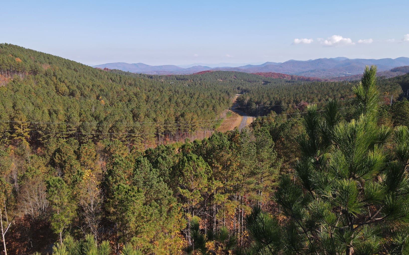 60 Thirteen Hundred, Blairsville GA 30512 - Photo