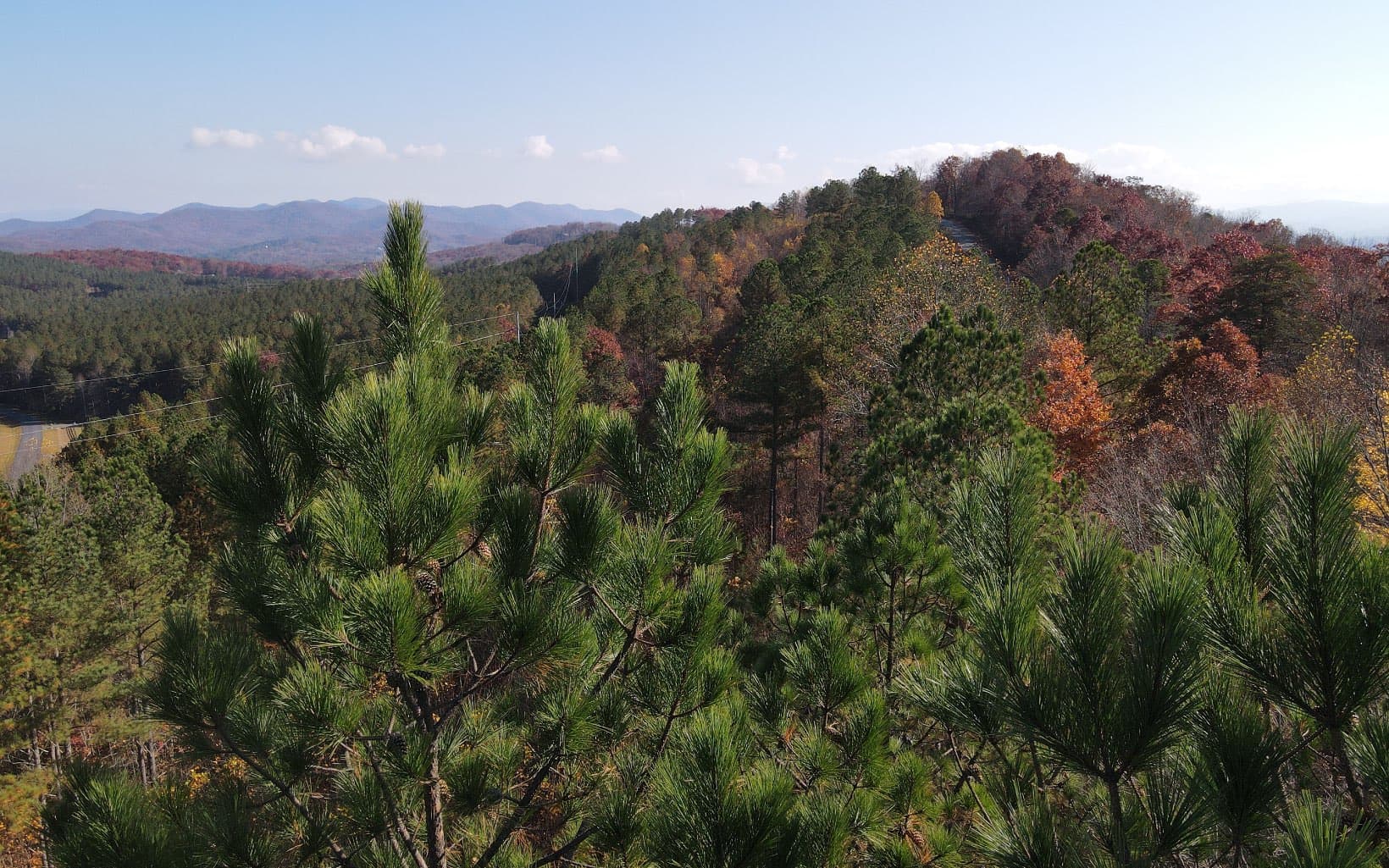 60 Thirteen Hundred, Blairsville GA 30512 - Photo