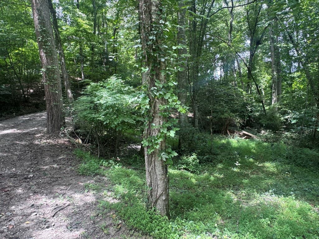 5 Trillium Lane, Brasstown NC 28902 - Photo