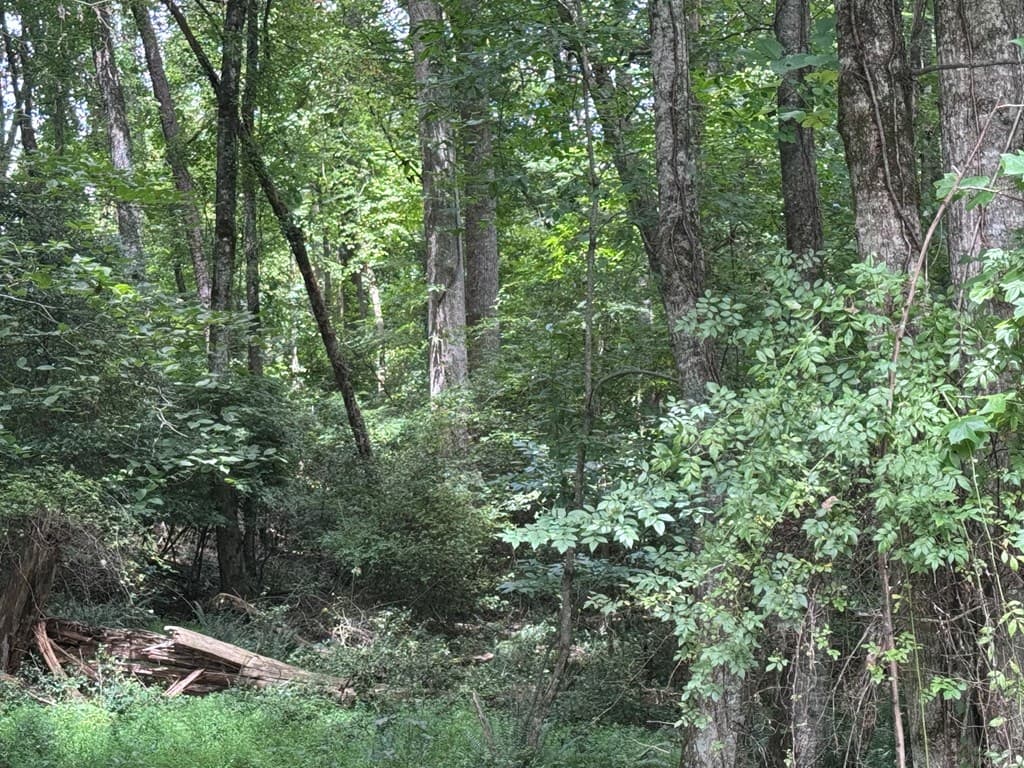 5 Trillium Lane, Brasstown NC 28902 - Photo