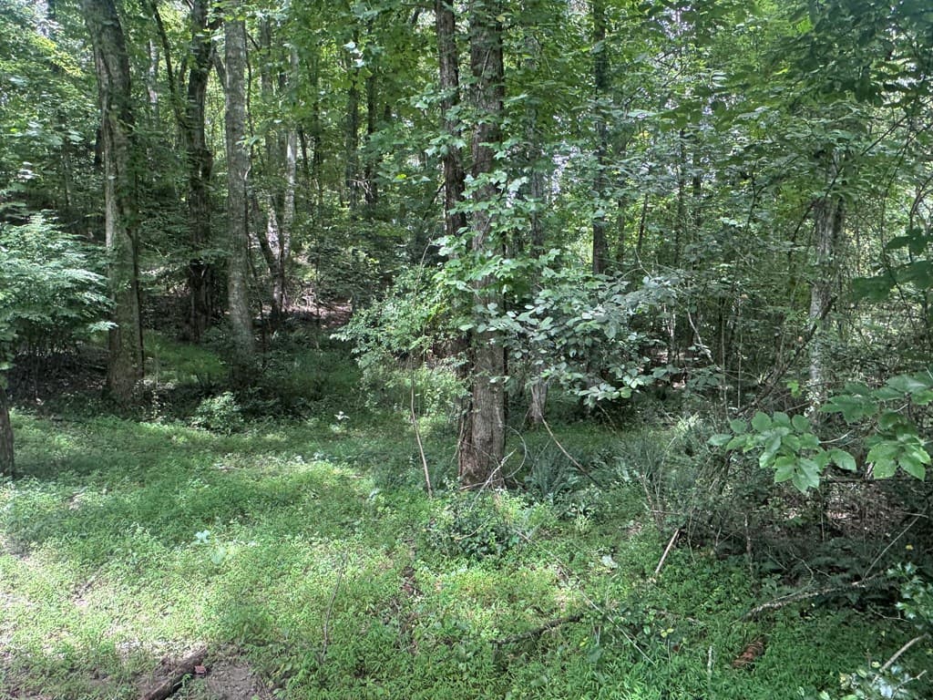 5 Trillium Lane, Brasstown NC 28902 - Photo