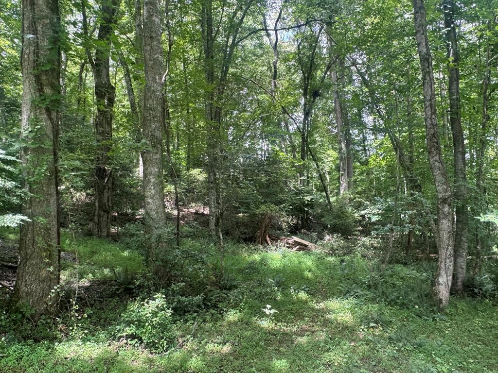 5 Trillium Lane, Brasstown NC 28902 - Primary photo