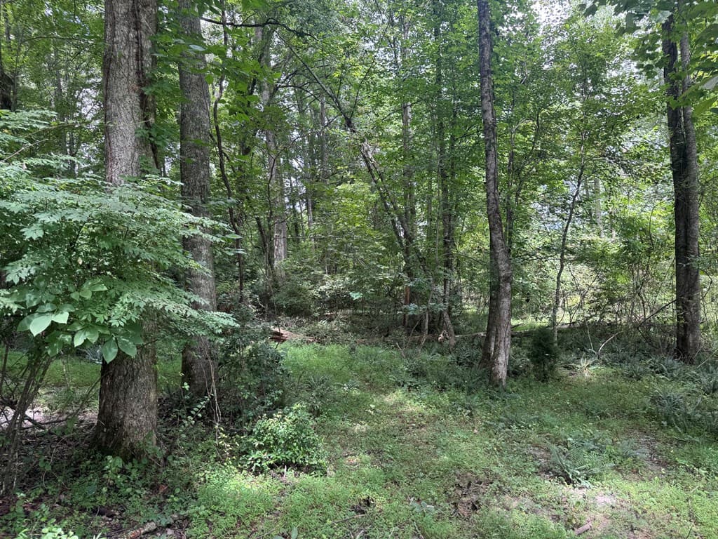 5 Trillium Lane, Brasstown NC 28902 - Photo