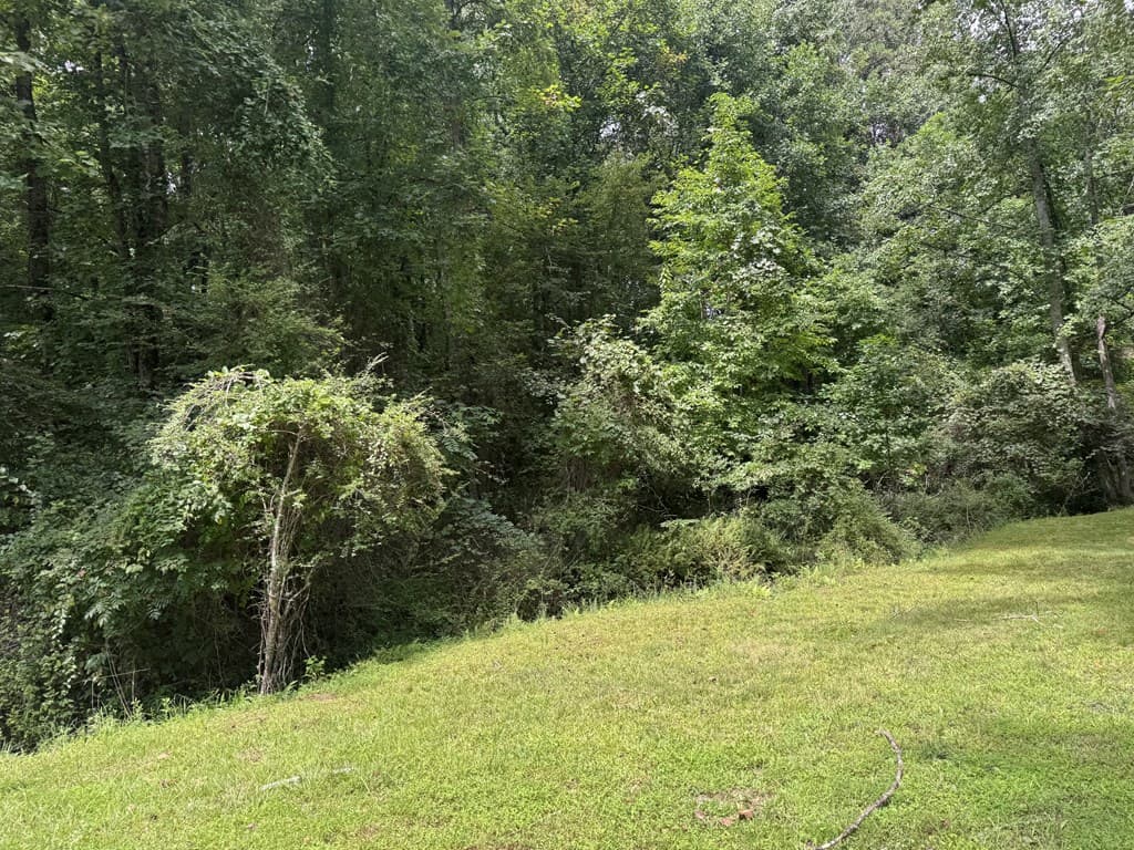 5 Trillium Lane, Brasstown NC 28902 - Photo