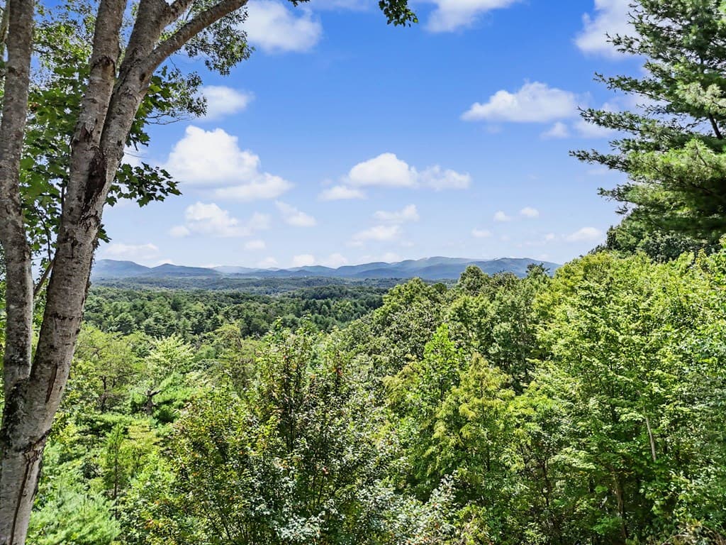 1259 My Mountain Road, Morganton GA 30560 - Photo