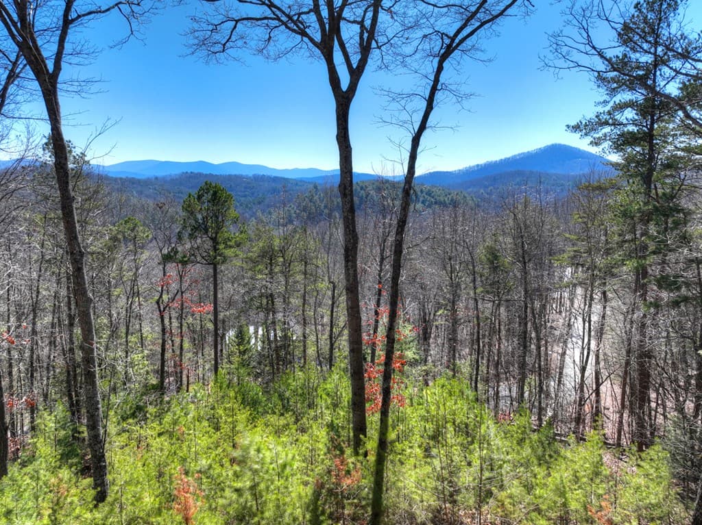 78 Brass Hill Road, Blue Ridge GA 30513 - Photo