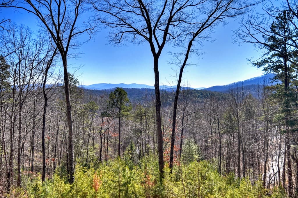 78 Brass Hill Road, Blue Ridge GA 30513 - Photo