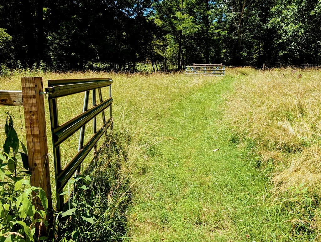 169 E Vineyard Road, Hayesville NC 28904 - Photo