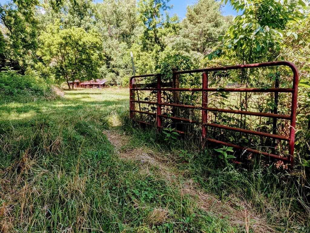 169 E Vineyard Road, Hayesville NC 28904 - Photo