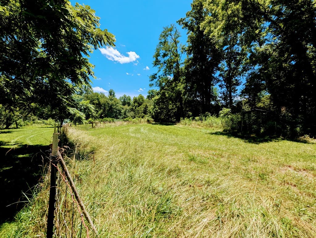 169 E Vineyard Road, Hayesville NC 28904 - Photo