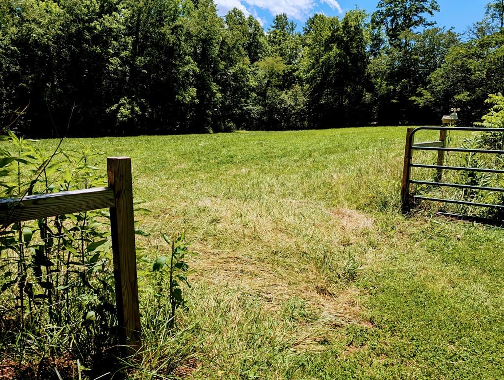 169 E Vineyard Road, Hayesville NC 28904 - Photo