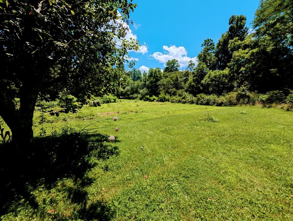 169 E Vineyard Road, Hayesville NC 28904 - Photo