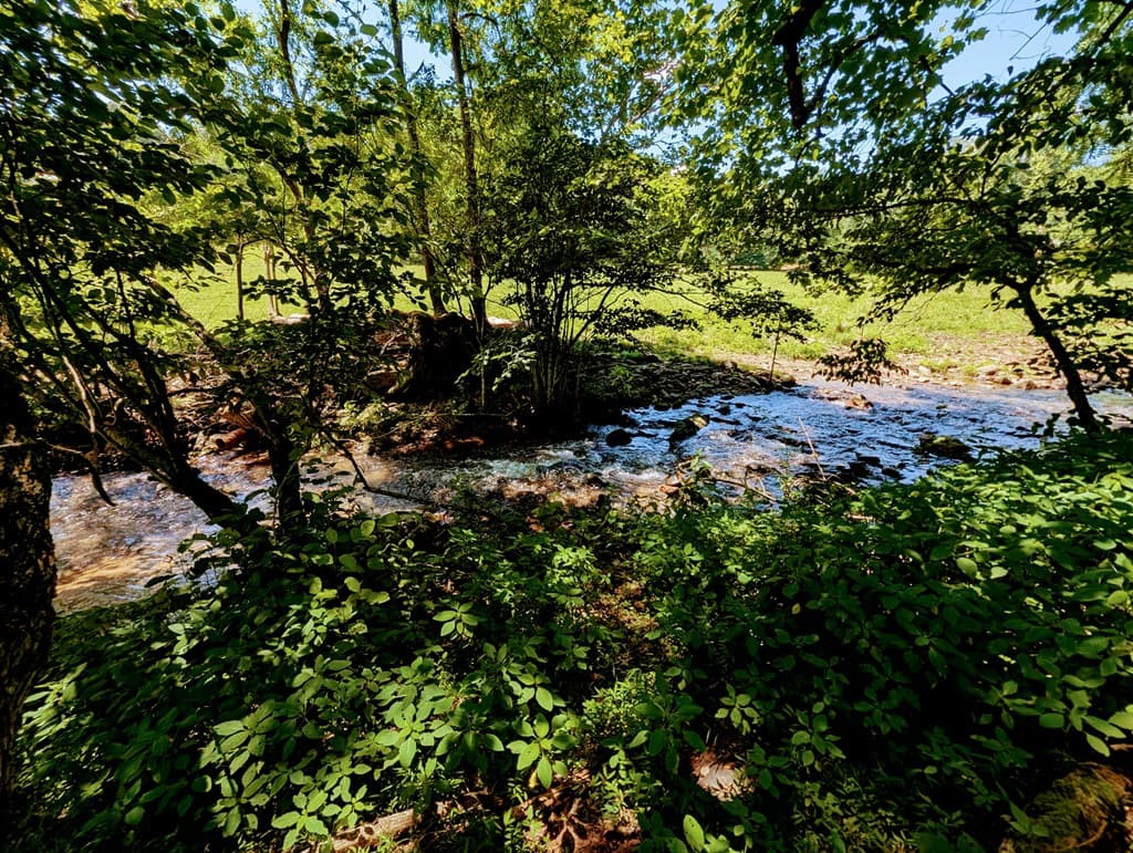169 E Vineyard Road, Hayesville NC 28904 - Photo