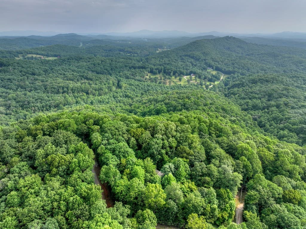 541 Little Bushy Head Road, Blue Ridge GA 30513 - Photo