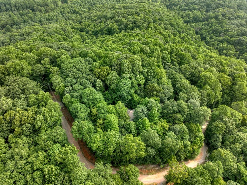 541 Little Bushy Head Road, Blue Ridge GA 30513 - Photo