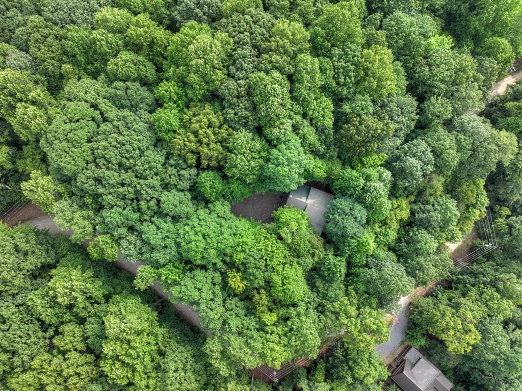 541 Little Bushy Head Road, Blue Ridge GA 30513 - Photo
