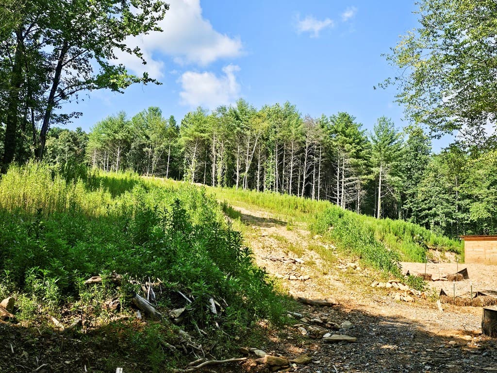 8.43 AC River Cove Lane, Hayesville NC 28904 - Photo