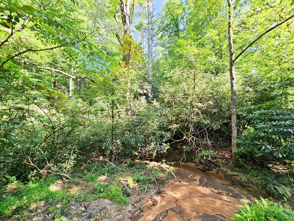 8.43 AC River Cove Lane, Hayesville NC 28904 - Photo