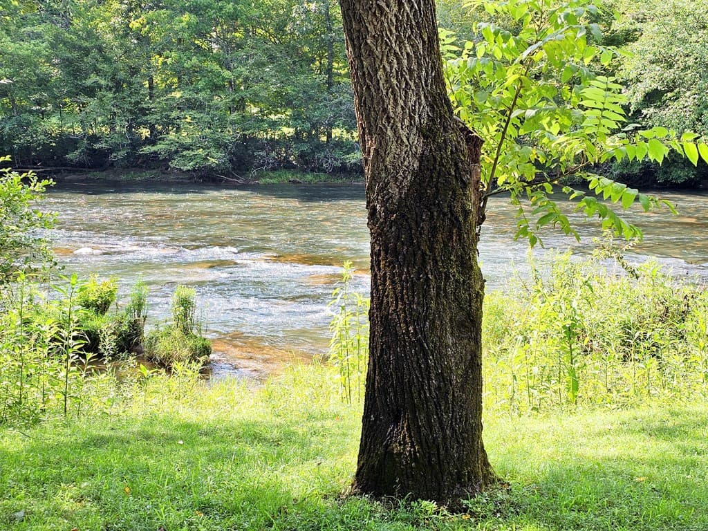 8.43 AC River Cove Lane, Hayesville NC 28904 - Photo