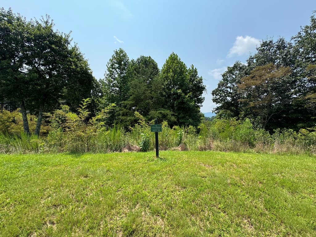 00 Great Sky Trail, Murphy NC 28906 - Photo