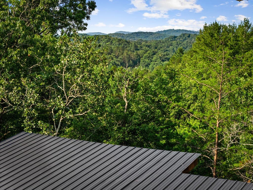65 Wolf Creek Heights, Mineral Bluff GA 30559 - Photo
