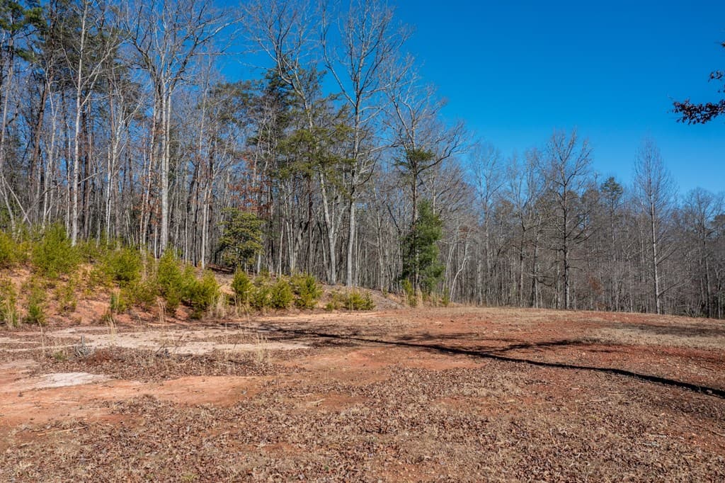 4011 Murphy Hwy, Mineral Bluff GA 30559 - Photo