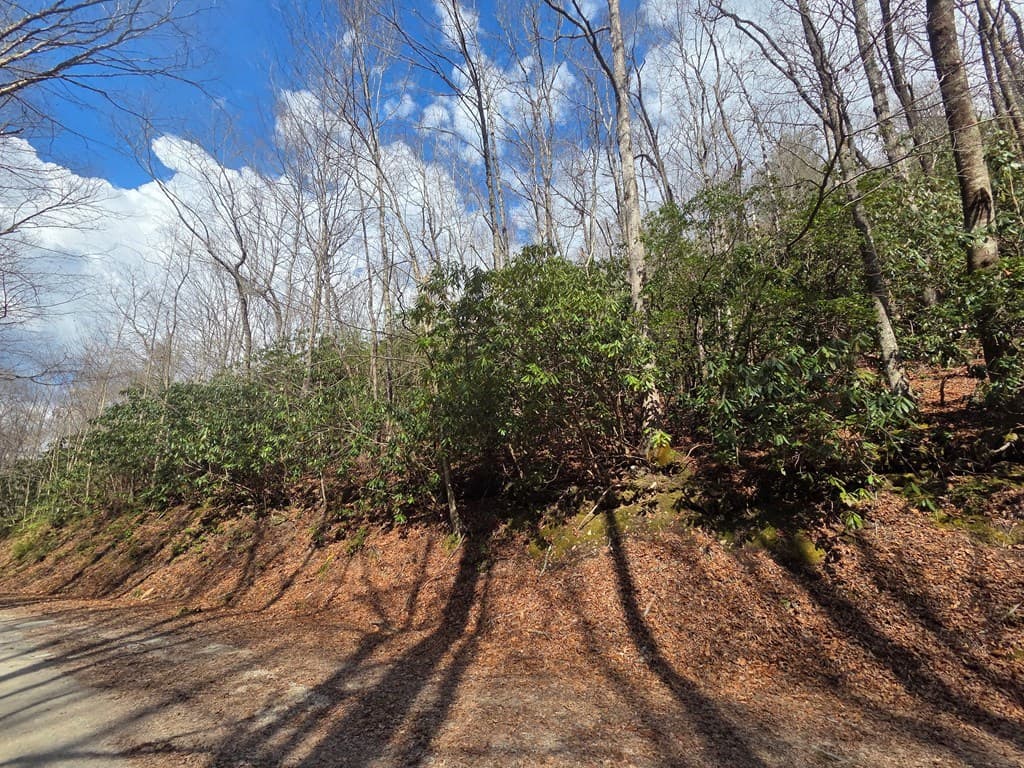 1104 Mill Creek Road, Robbinsville NC 28771 - Photo