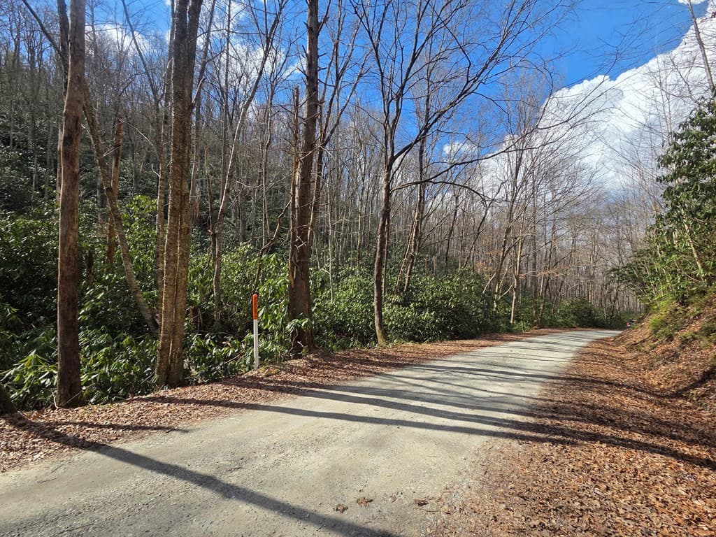 1104 Mill Creek Road, Robbinsville NC 28771 - Photo