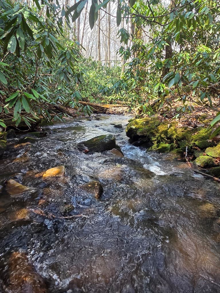1104 Mill Creek Road, Robbinsville NC 28771 - Photo