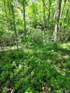 00 Vincent Colvin Road, Robbinsville NC 28771 - Photo