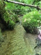00 Vincent Colvin Road, Robbinsville NC 28771 - Primary photo