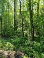 00 Vincent Colvin Road, Robbinsville NC 28771 - Photo