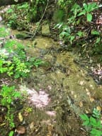 00 Vincent Colvin Road, Robbinsville NC 28771 - Photo