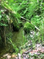 00 Vincent Colvin Road, Robbinsville NC 28771 - Photo