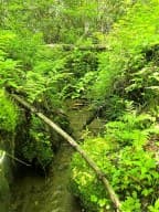 00 Vincent Colvin Road, Robbinsville NC 28771 - Photo