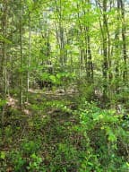 00 Vincent Colvin Road, Robbinsville NC 28771 - Photo