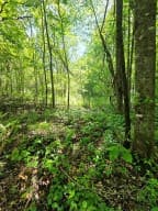 00 Vincent Colvin Road, Robbinsville NC 28771 - Photo