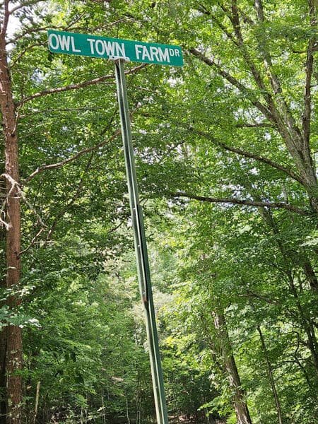 287 Owltown Farm Drive, Ellijay GA 30536 - Photo