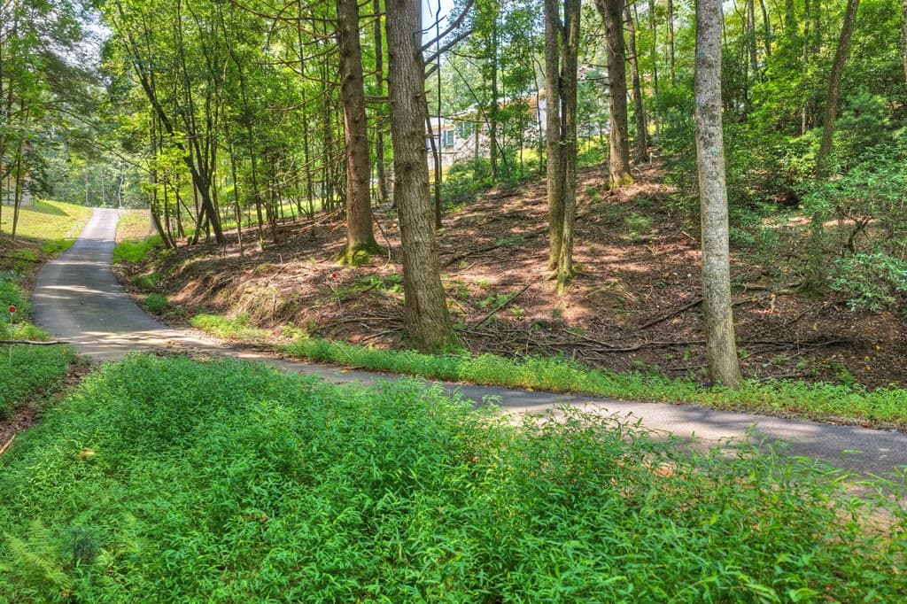 607 Satsuma Court S, Ellijay GA 30536 - Photo
