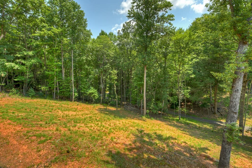 607 Satsuma Court S, Ellijay GA 30536 - Photo